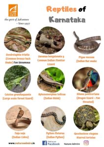 reptiles of the western ghats karnataka kerala tamil nadu maharasthra