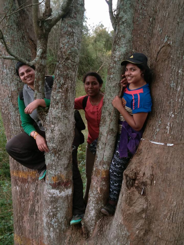 Rangaswamy betta kodihalli kanakapura nature admire bengaluru day hike trekking
