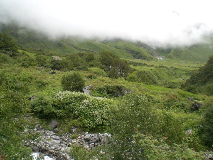 the trekking team of valley of flowers trekking nature admire bengaluru himalayan trekking
